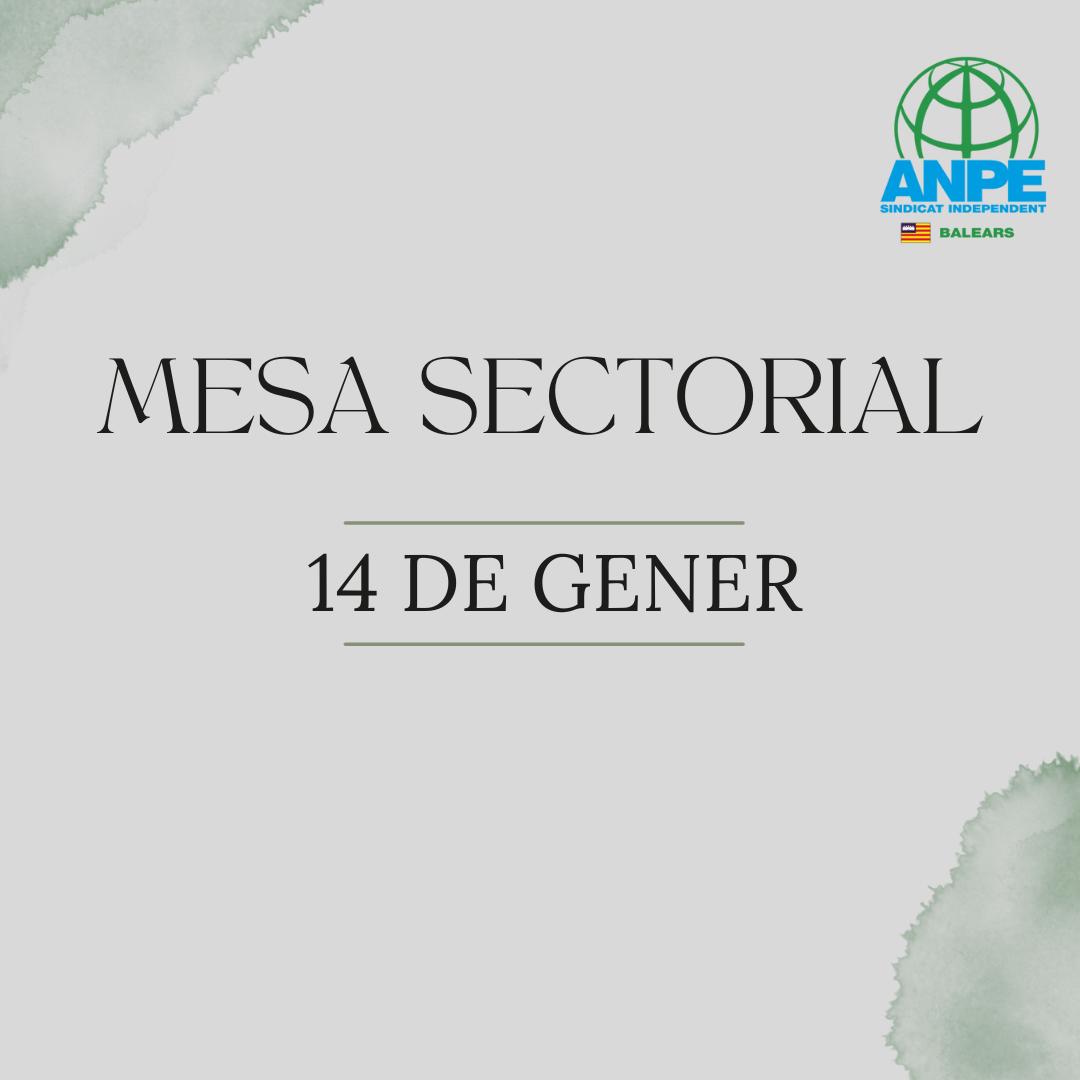 mesa-sectorial-sobre-el-procÉs-d-estabilitzaciÓ