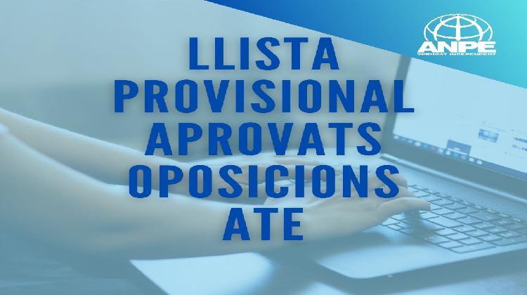 whatsapp-image-2026-03-10-at-13.44.31